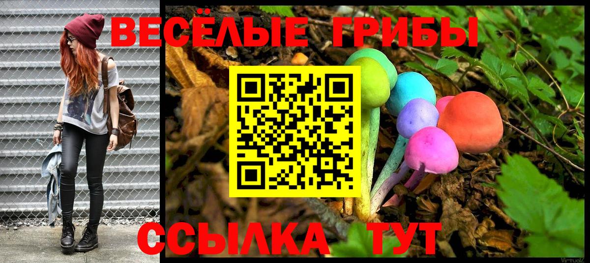 Галлюциногенные грибы Psilocybine cubensis Киселёвск